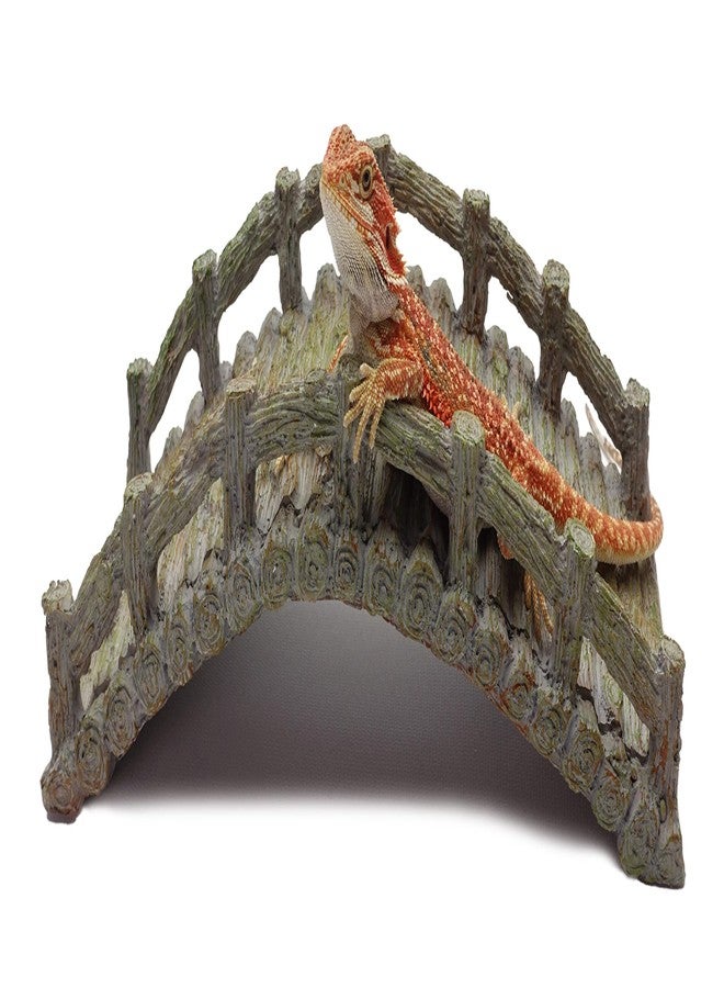 CAROLINACUSTOMCAGES جسر الزواحف، رمادي خشبي، ملحق لموئل الزواحف - Image 1
